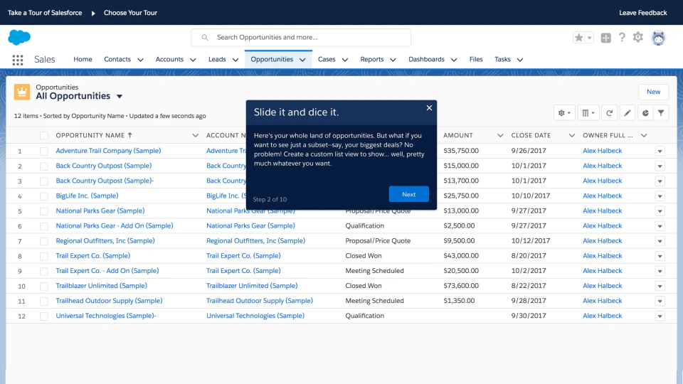 screenshot of Salesforce Starter